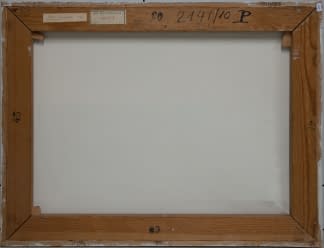 "Blühender Besenginster" de Jan Sklenar sur art24