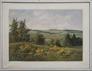 "Blühender Besenginster" de Jan Sklenar sur art24