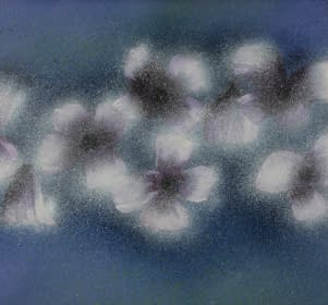 "Blumenstillleben" by Maximilian Hilpert on art24