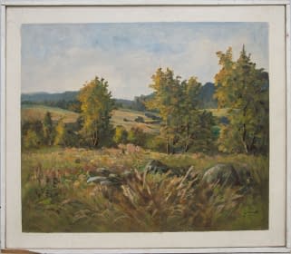 "Horní Polubný im Isergebirge" by Jan Sklenar on art24
