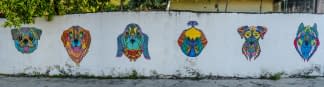 "#1.3 Street Cozumel. Teil 3 der Serie: DUALITY. MEXICO. BETWEEN LIFE & DEATH." de Thomas Haensgen sur art24