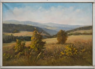 "Unter den Bergen" by Jan Sklenar on art24