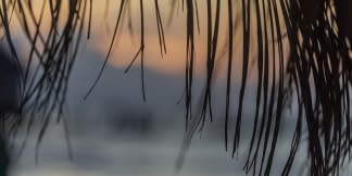 "#1.14 Playa Holbox Silent. Teil 14 der Serie: DUALITY. MEXICO. BETWEEN LIFE & DEATH." von Thomas Haensgen auf art24