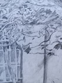 "Jardin japonais" de Emmanuelle Tenailleau sur art24