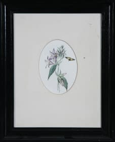 "Blumen" by Jarmila Chytilová Svojanovská on art24