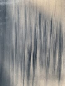 "Im Nebel der Befangenheit" by SR on art24
