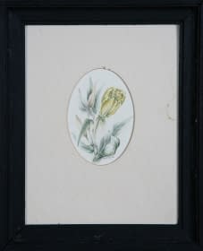 "Blumen" by Jarmila Chytilová Svojanovská on art24