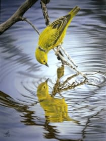 "Das Spiegelbild" by MW Tierportraits on art24
