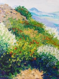 "fleurs sauvages dans la pente" by balivet on art24