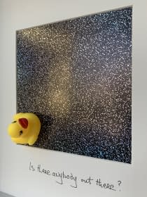 "Is there anybody out there ?" by T P Hardisty on art24