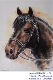 "21. Pferd Morgan" by Hans Jakob on art24
