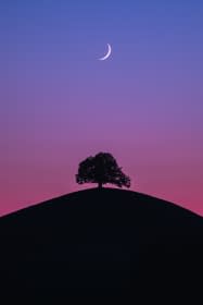 "Moonset over Hirzel" von Benjamin Barakat auf art24