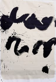 "Inexprimable Sent" de Magdalena Olkówna sur art24