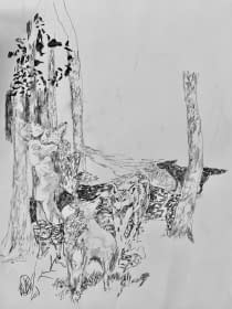 "Les loups" by Emmanuelle Tenailleau on art24