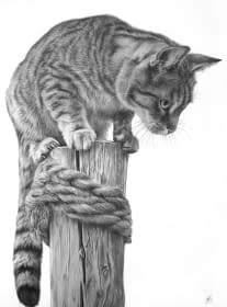 "Auf der Lauer" by MW Tierportraits on art24