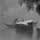Jean Marc Benjamin Tepping