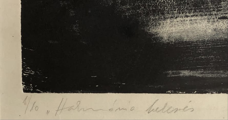 Image 1 of the artwork "1/10 Harmoniesuche V." by Botond Részegh on art24
