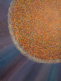 "Illusion" by Olha Nazarenko on art24