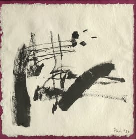 "C.N./O.T." by Ferenc Puha on art24